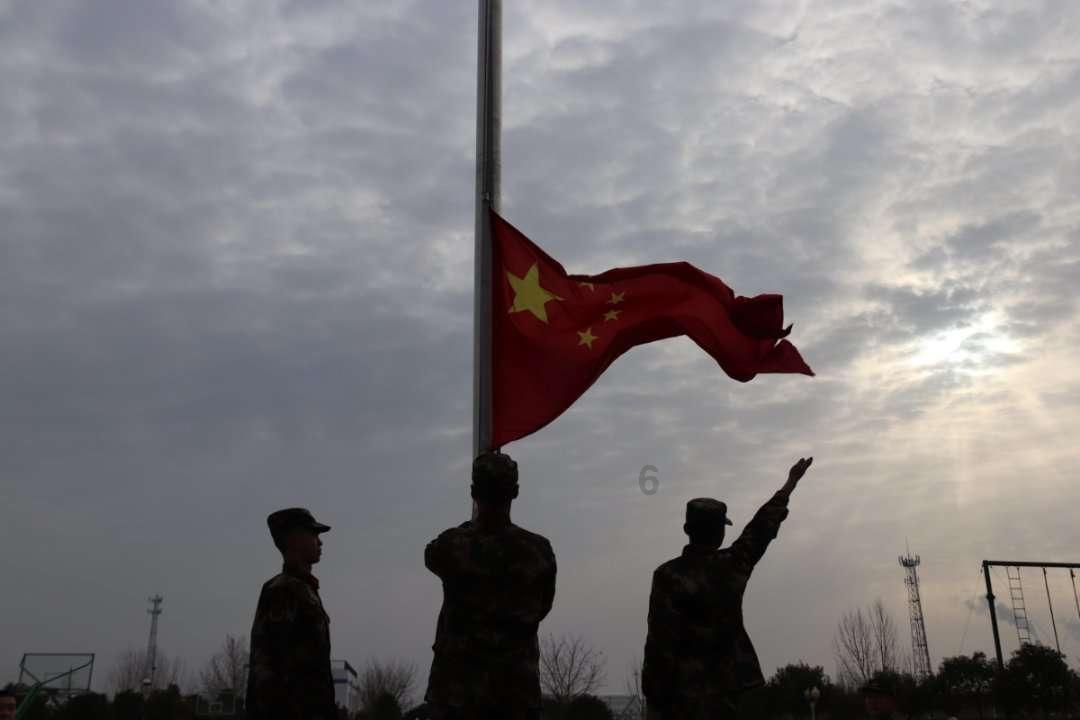 细胞分裂5